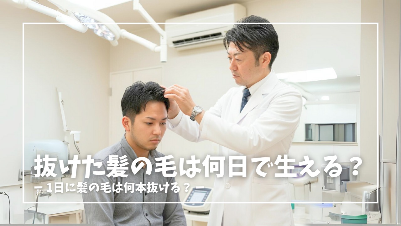 抜けた髪の毛は何日で生える？