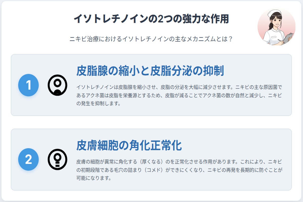 イソトレチノインの2つの作用