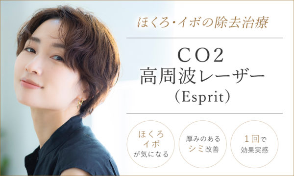 CO2高周波レーザー（Esprit）