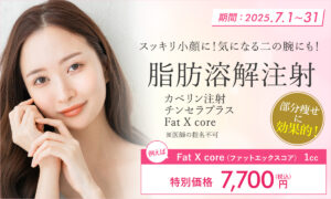FatX core（ファットエックスコア）