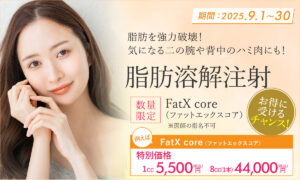 FatX core（ファットエックスコア）