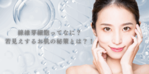 線維芽細胞ってなに？若見えするお肌の秘策とは？！