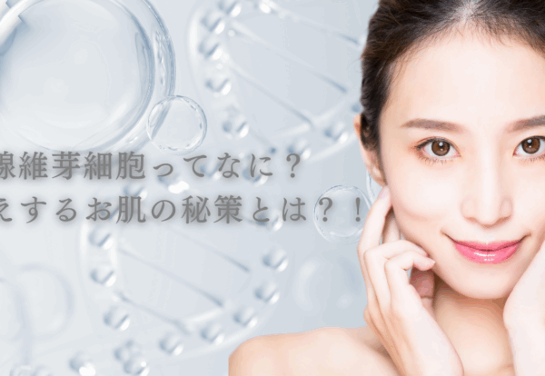 線維芽細胞ってなに？若見えするお肌の秘策とは？！
