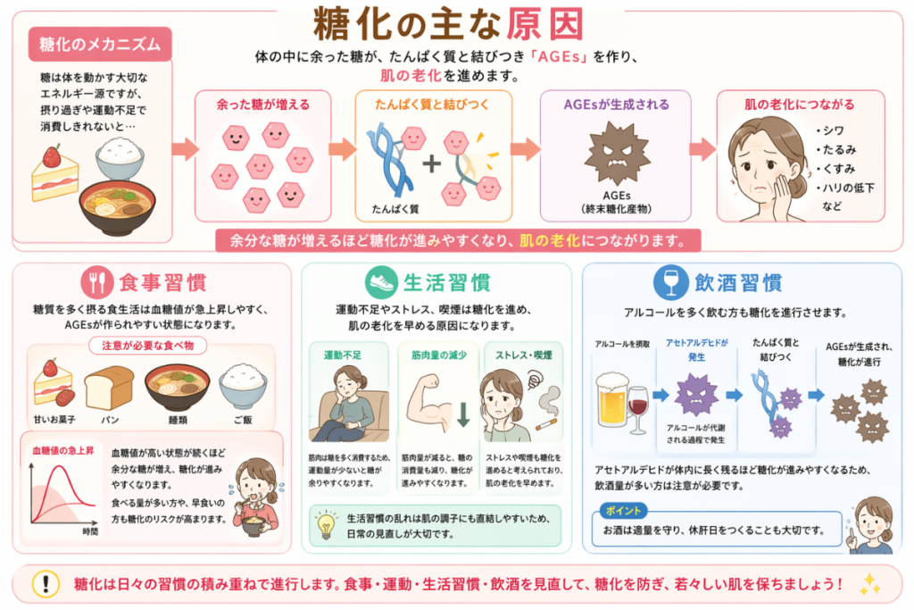 お肌の糖化の主な原因
