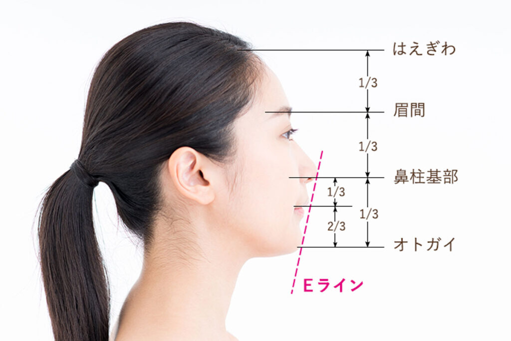 美人顔の基準となる「Eライン」