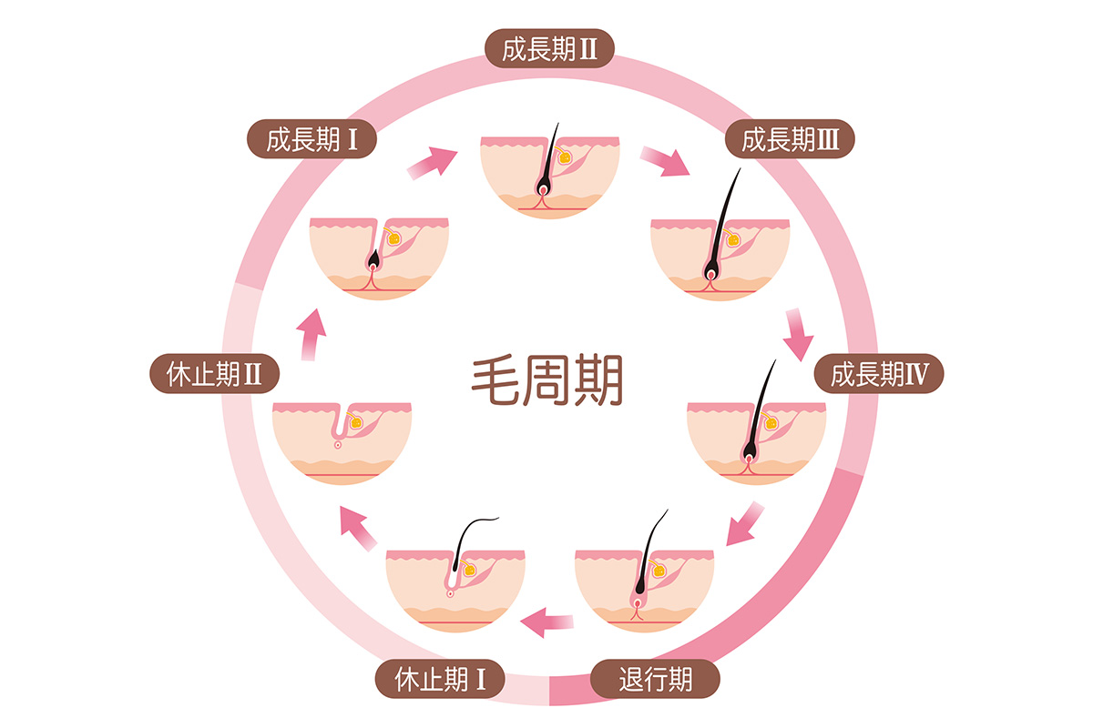 頭皮注射（ヘアサイクル）