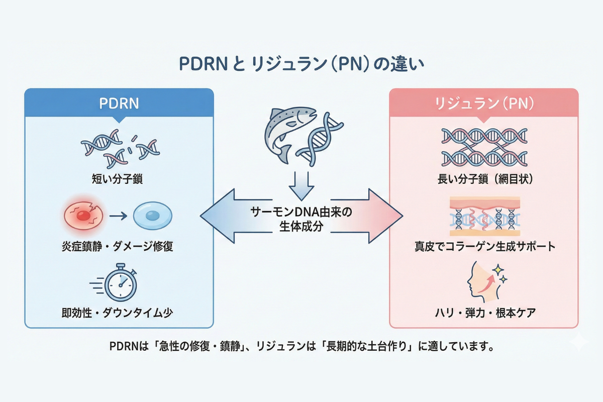 PDRNとリジュラン:成分と作用の基本解説