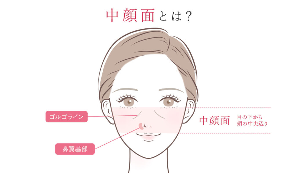 中顔面の位置