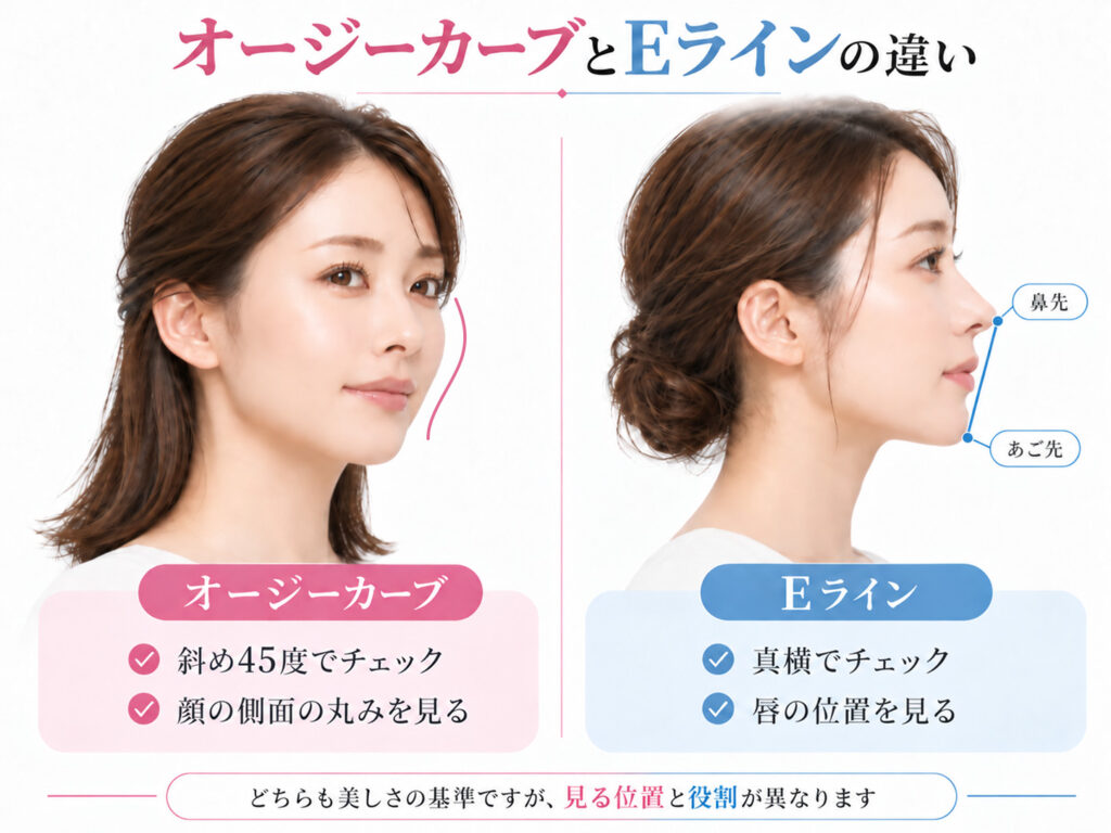 オージーカーブとEラインの違い