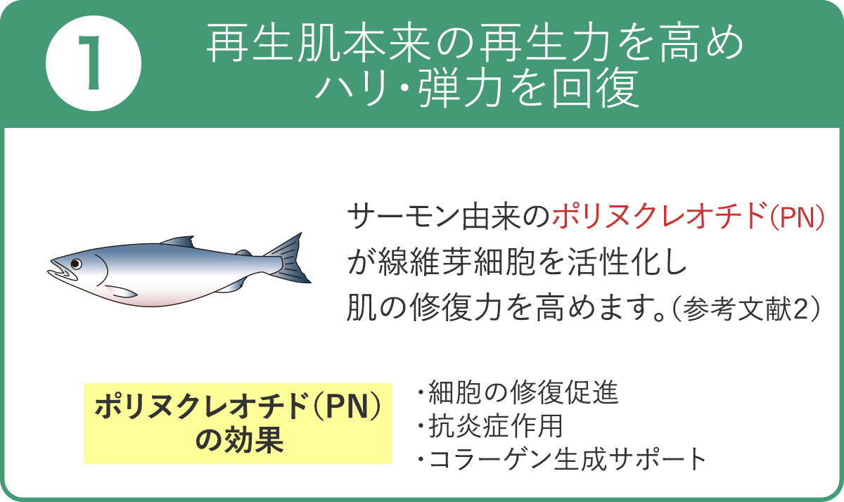 プルリアルデンシファイの主要成分とその働き（再生肌本来の再生力を高めハリ・弾力を回復）