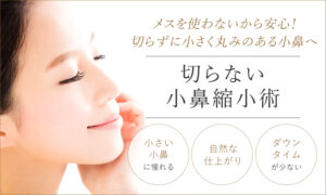 切らない小鼻縮小術
