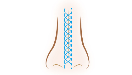 G-Mesh