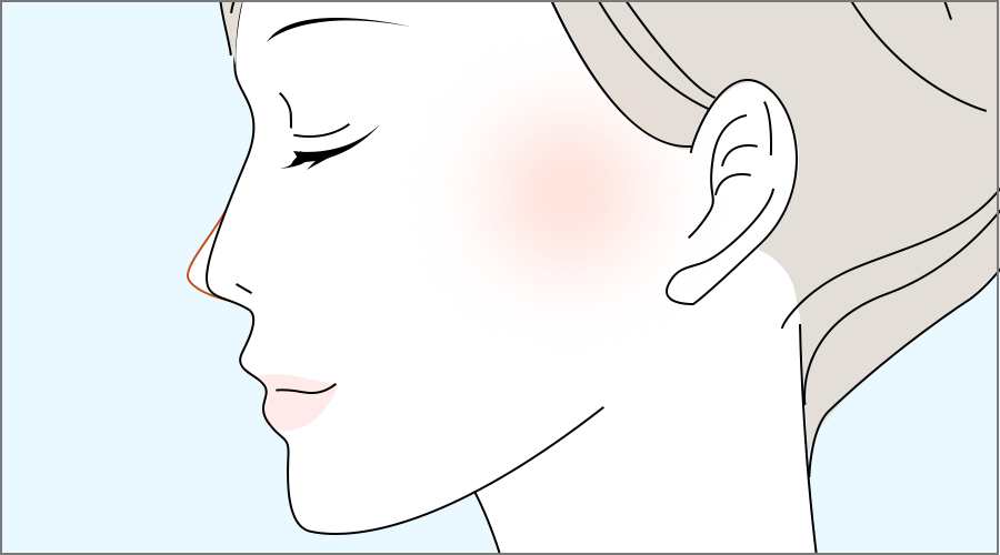 すっきり・シャープな印象の鼻に
