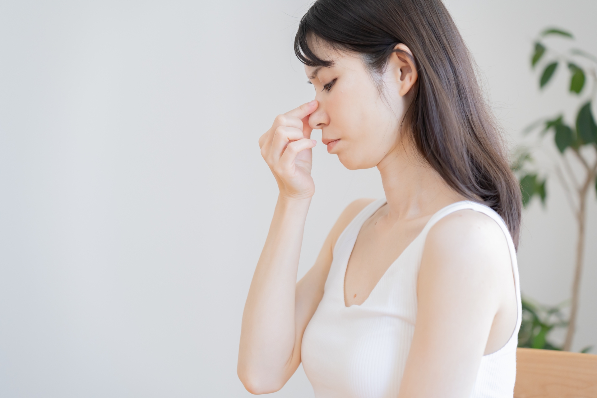 鼻先が丸い原因は?